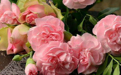 2025年农历十月廿六结婚日子如何 是办婚礼好日子吗